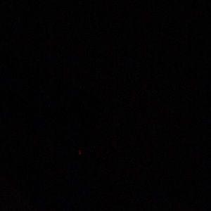 Meet your Posher, Carol